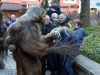 Krampusse-013
