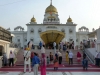 Delhi 037