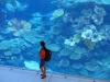 Dubai-39