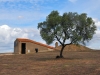 20240906-Tarquinia-SSp02