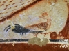 20240906-Tarquinia-SSp33
