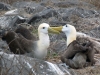 Galapagos-09