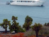 Galapagos-38