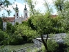 Graz-27