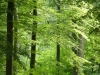 Hardenberg-17