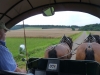 Hardenberg-39