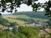 Hardenberg-40