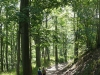 Bad-Harzburg-001
