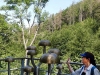 Bad-Harzburg-022