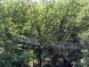 Bad-Harzburg-023