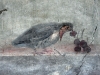 20220419-Herkulaneum-SSp14