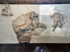 20220419-Herkulaneum-SSp41
