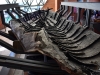 20220419-Herkulaneum-SSp48