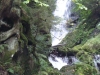 Schwarzwald-17
