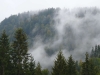 Schwarzwald-19