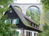 Schwarzwald-29