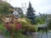 Schwarzwald-33