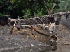 20210811-Ahr-SSp17