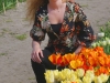 Holland 001