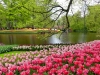 Holland 004