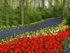 Holland 012