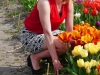 Holland 022
