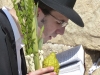 Israel-005