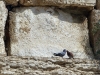 Israel-032