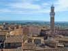 20160816-Siena-SSp14