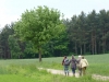 Grosspolen-Jakobsweg-23