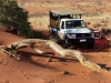 Kalahari 012
