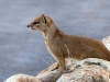 Kalahari 021