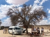 Kalahari 027