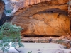 Kimberley 015