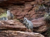 Kimberley 022