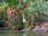 Kimberley 024