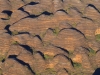 Kimberley 027