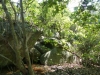 Kolumbien-28