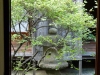 Kyushu-25