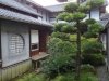 Kyushu-26