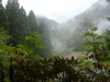 Kyushu-28