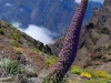 La Palma 004