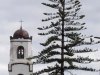 La Palma 014