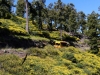 La Palma 015