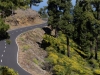 La Palma 037