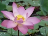 Malaysia-17