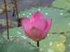 Malaysia-35
