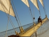 Royal-Clipper-36