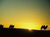 Mongolei-01