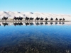 Mongolei-08
